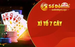 Xì Tố 7 Cây