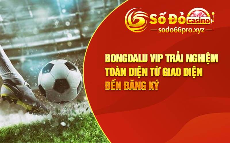 Bongdalu Vip Trải Nghiệm Toàn Diện Từ Giao Diện Đến Đăng Ký